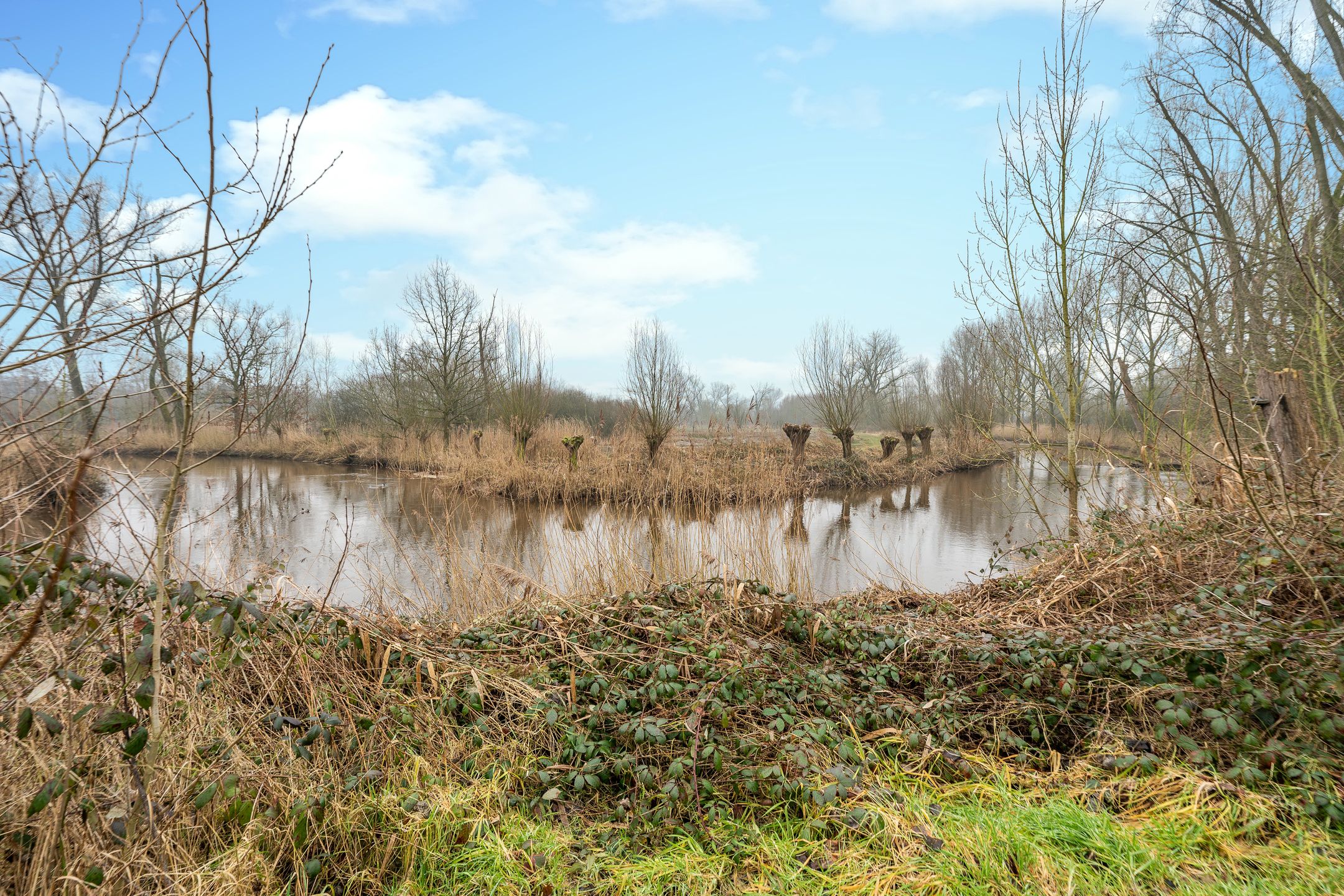 Foto 3 van Milaanstraat 12