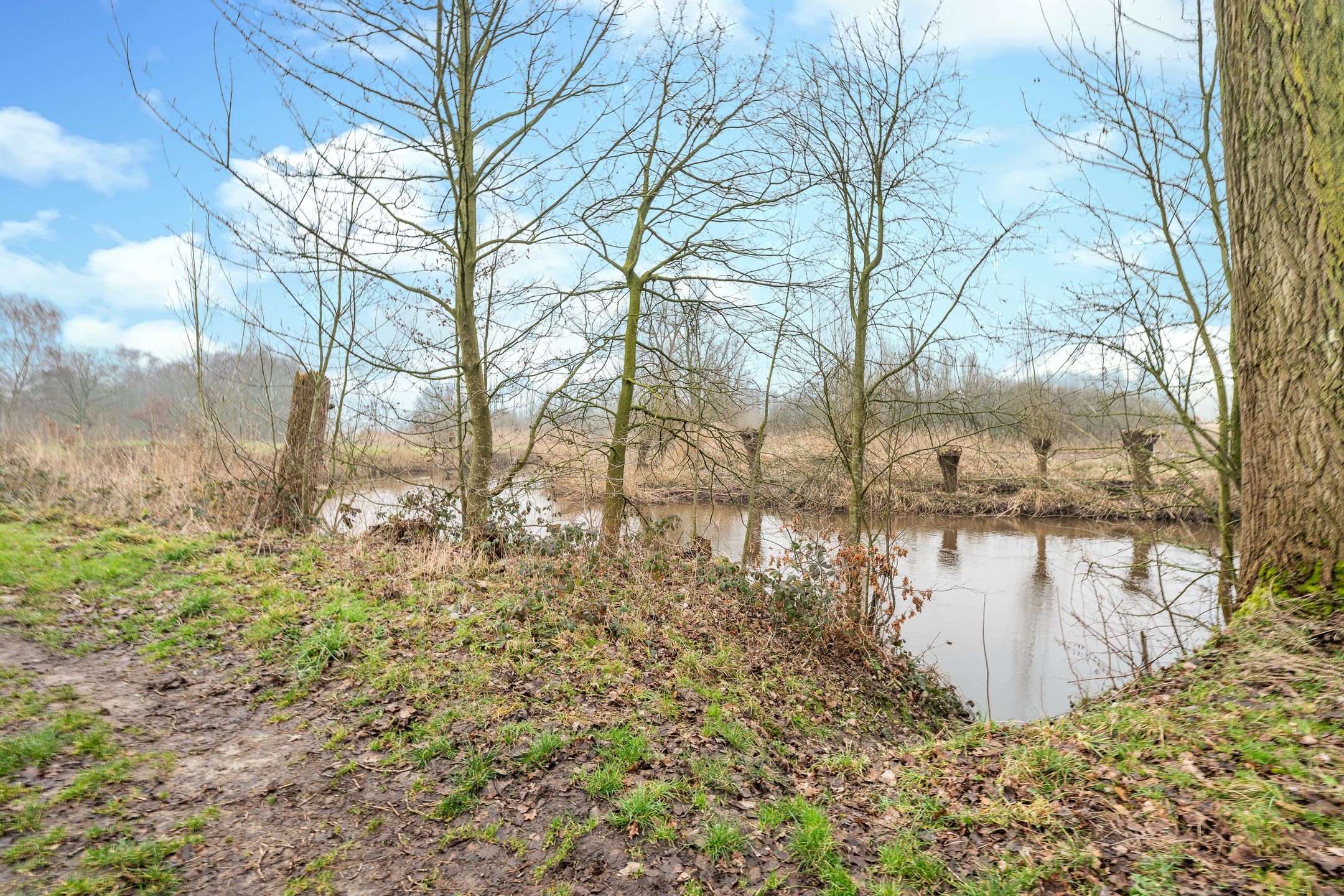 Foto 39 van Milaanstraat 12