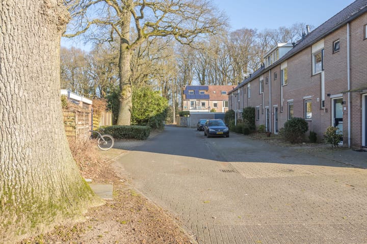 Foto 53 van Het Sander 28