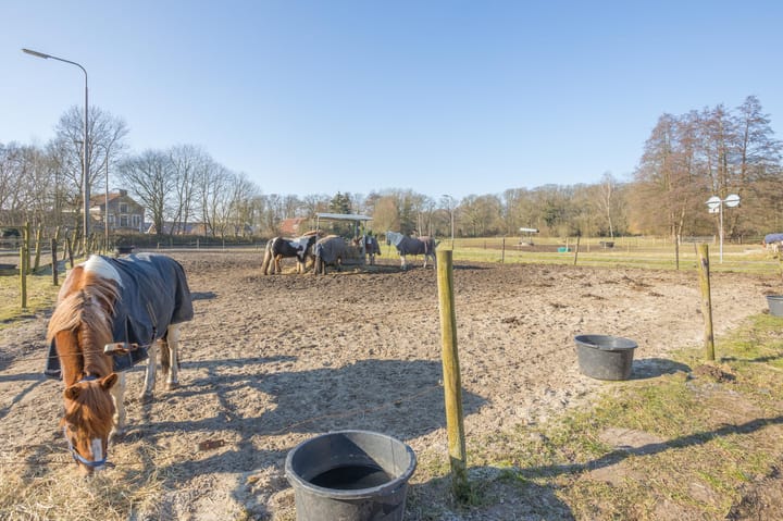 Foto 55 van Het Sander 28