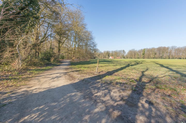 Foto 56 van Het Sander 28