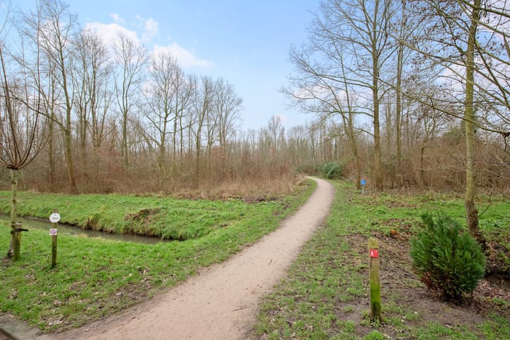 Foto 31 van Alkstraat 6