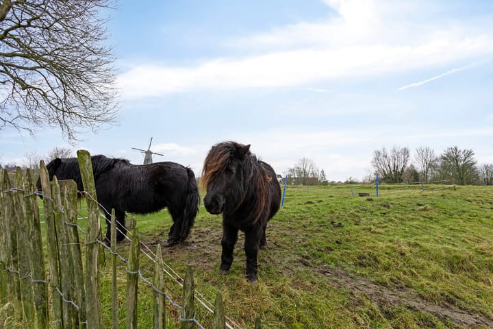 Photo 30 of Koepoortstraat 33