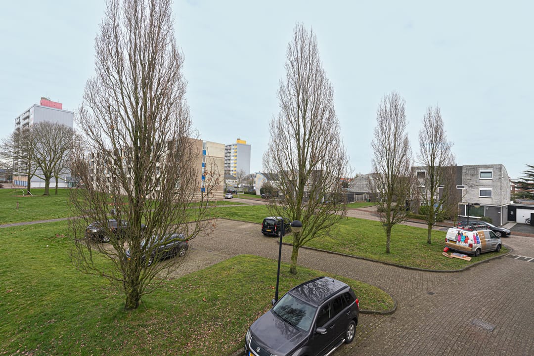 Foto 8 van Cirkel 41