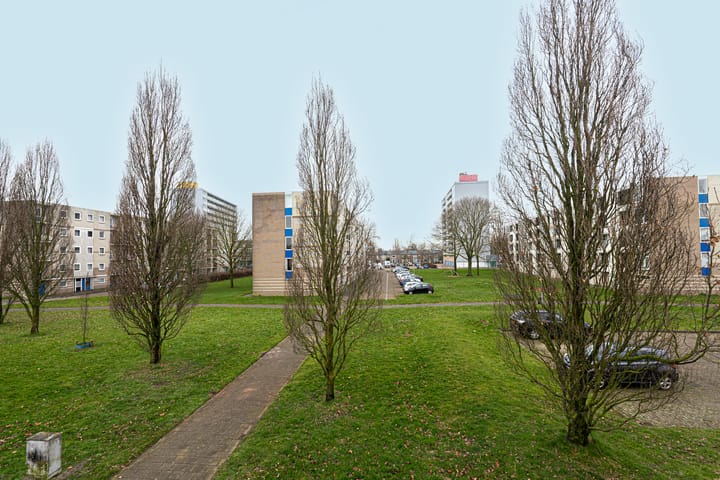 Foto 9 van Cirkel 41