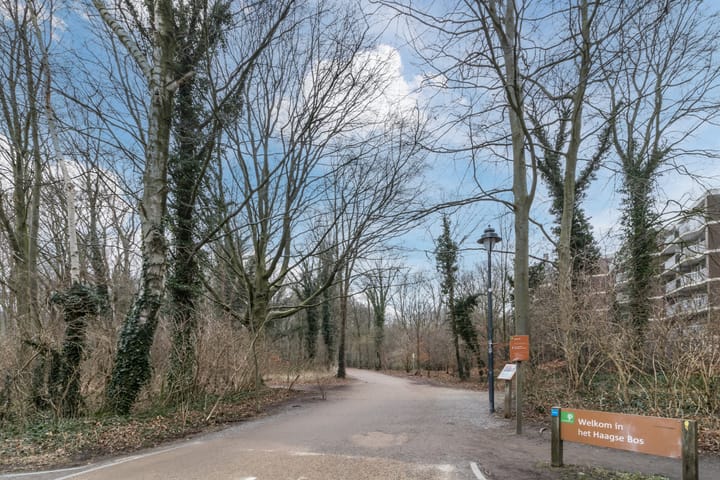 Photo 34 of Boslaan 233