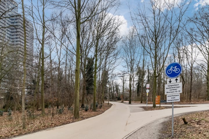 Photo 35 of Boslaan 233