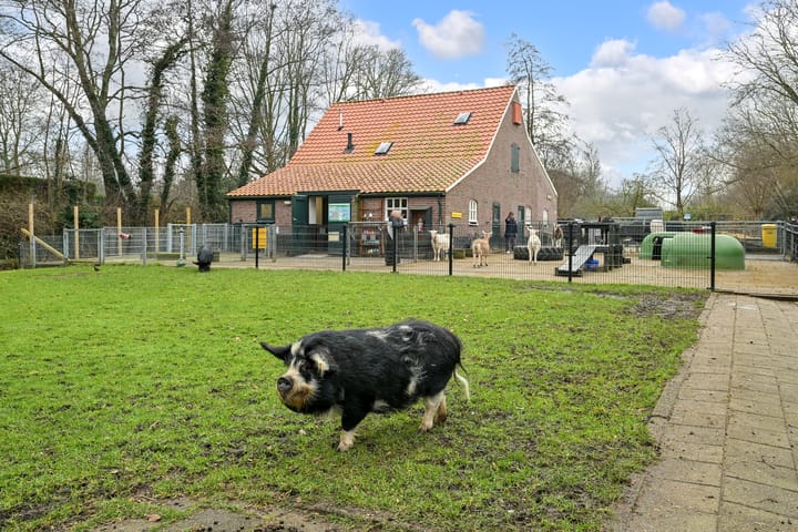 Foto 27 van Spiraeastraat 92