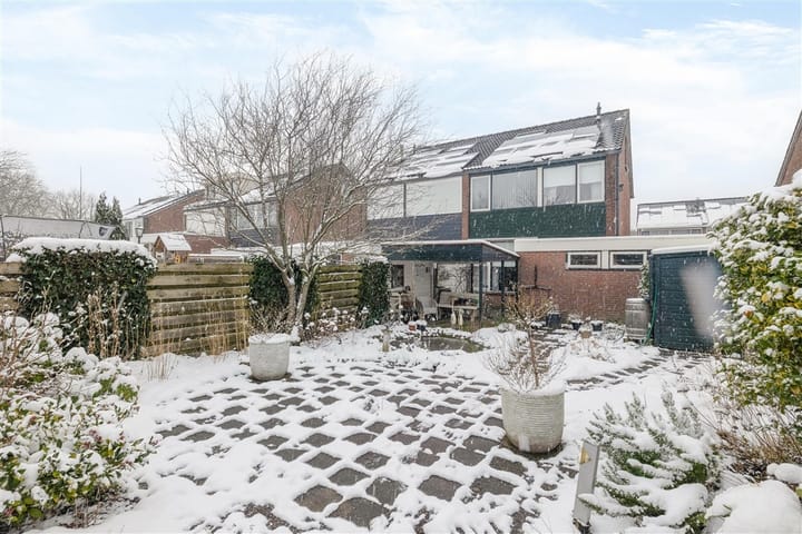 Foto 5 van Dollard 51