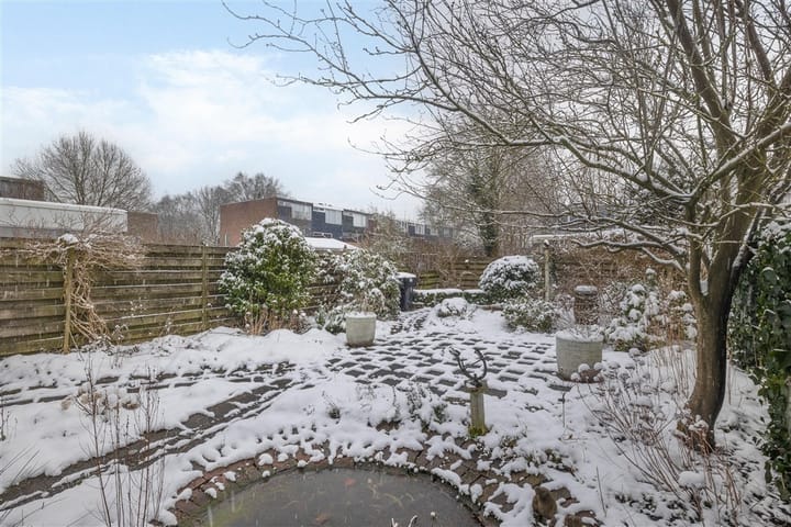 Foto 30 van Dollard 51