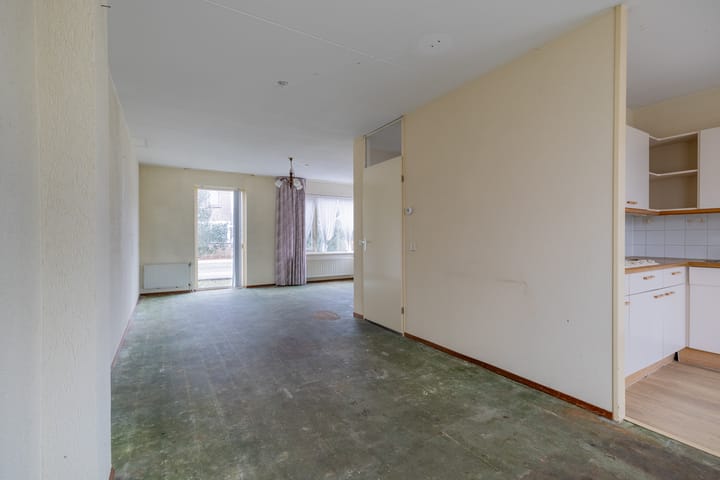 Foto 2 van Bingelkruid 1