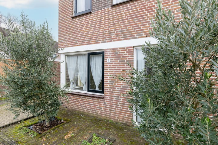 Foto 9 van Bingelkruid 1