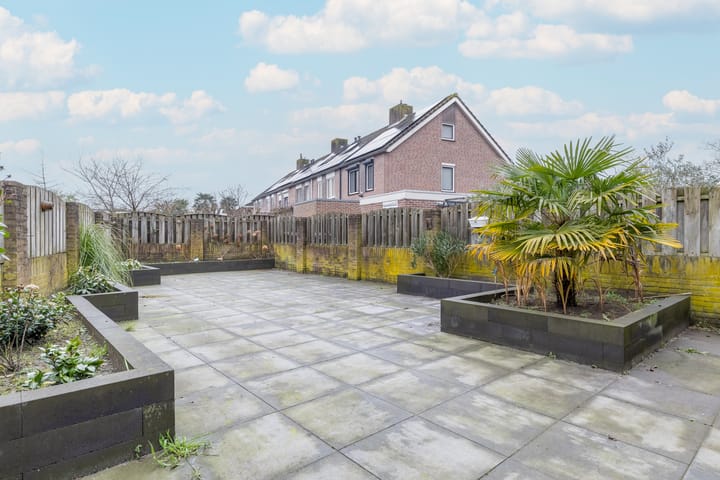 Foto 46 van Bingelkruid 1