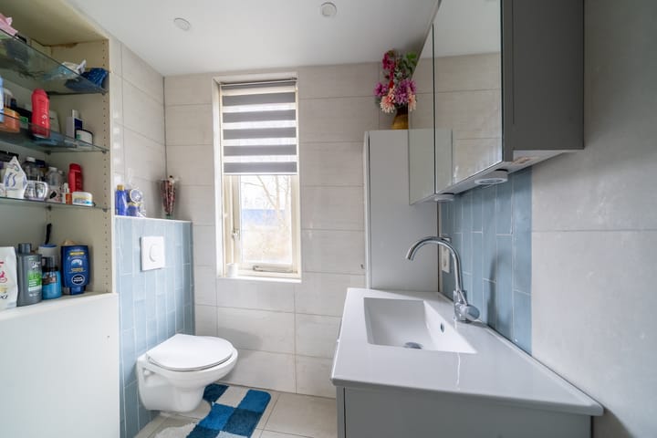 Foto 37 van Koggenland 135