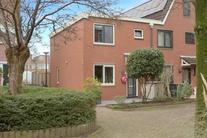 undefined main image