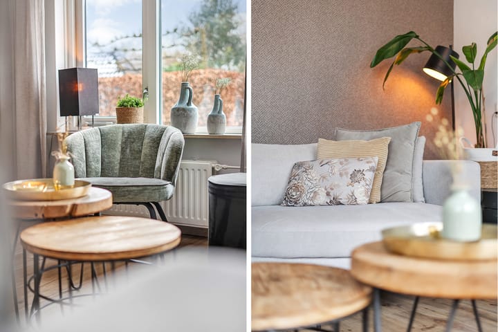 Photo 12 of De Aalscholver 16