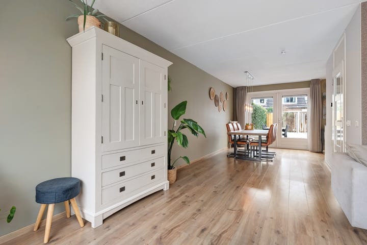 Photo 13 of De Aalscholver 16