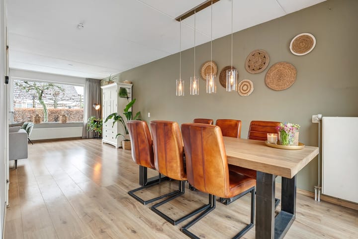 Photo 15 of De Aalscholver 16