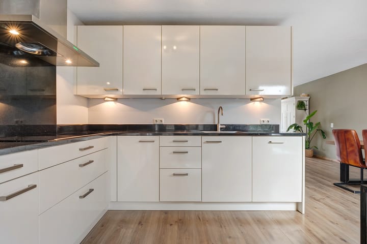 Photo 19 of De Aalscholver 16