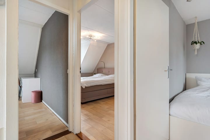 Photo 27 of De Aalscholver 16