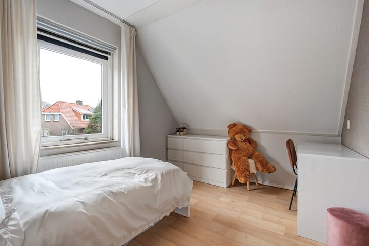 Photo 28 of De Aalscholver 16