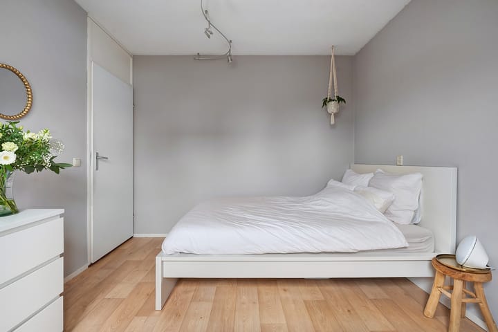 Photo 33 of De Aalscholver 16