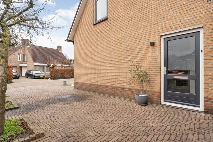 Photo 6 of De Aalscholver 16