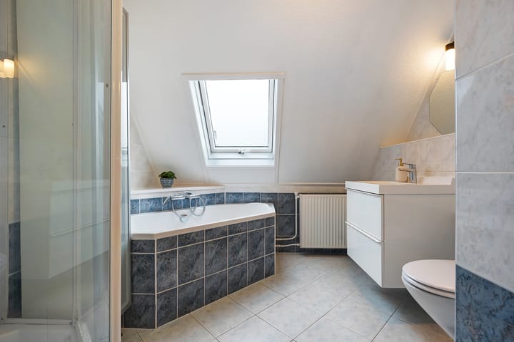 Photo 34 of De Aalscholver 16