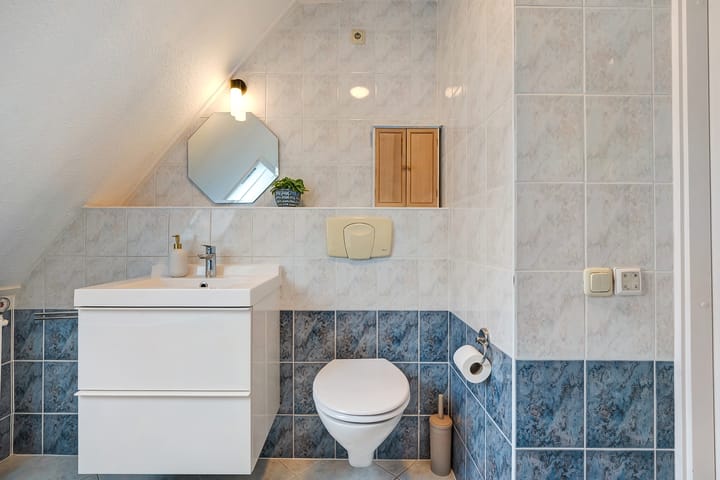 Photo 36 of De Aalscholver 16