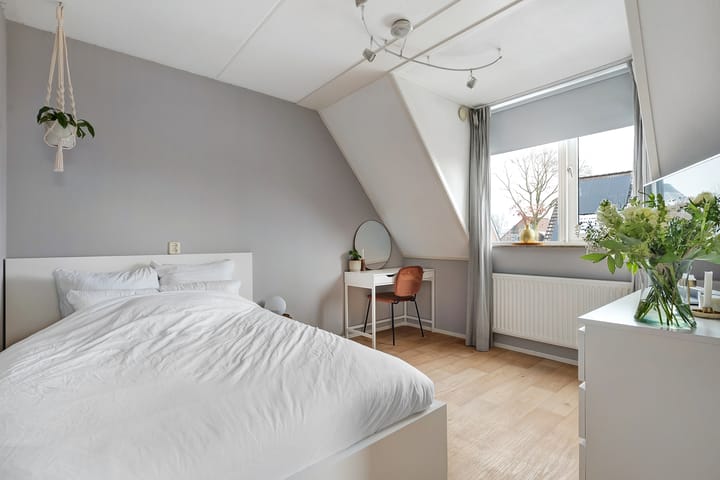 Photo 32 of De Aalscholver 16