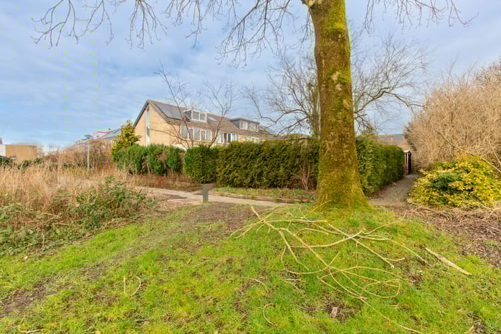 Foto 36 van Wijngaard 196