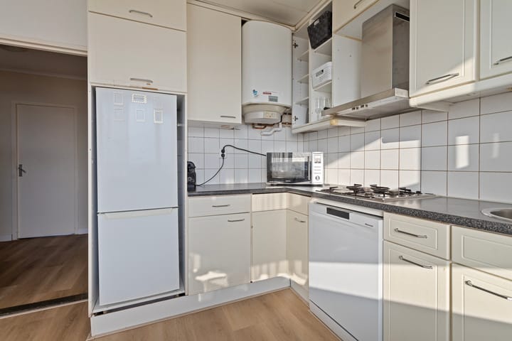 Foto 2 van Professor Cobbenhagenlaan 196