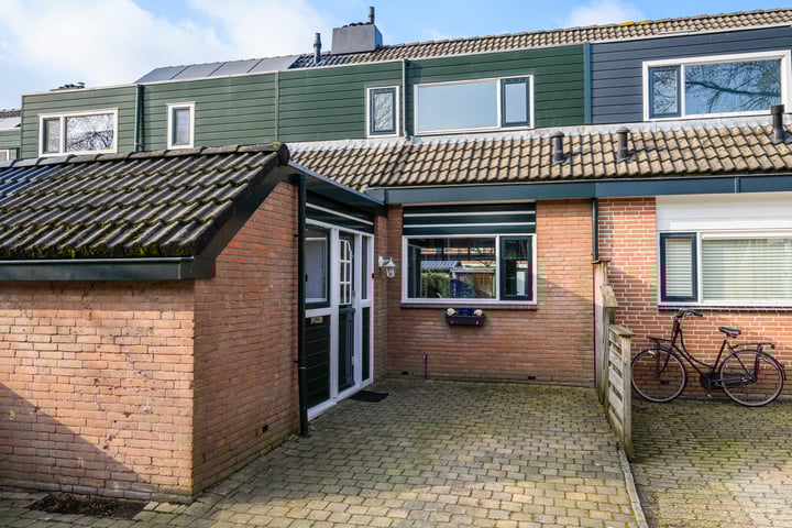 Bekijk foto van Lama 27