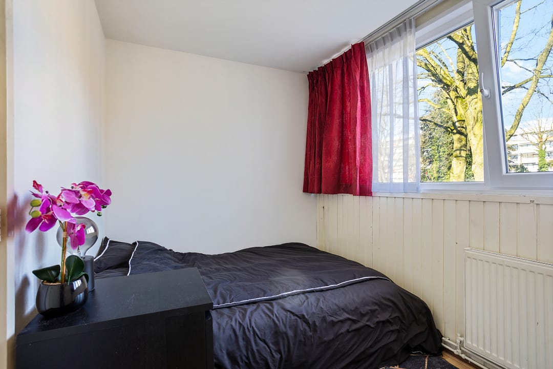 Foto 22 van Iemingecamp 24