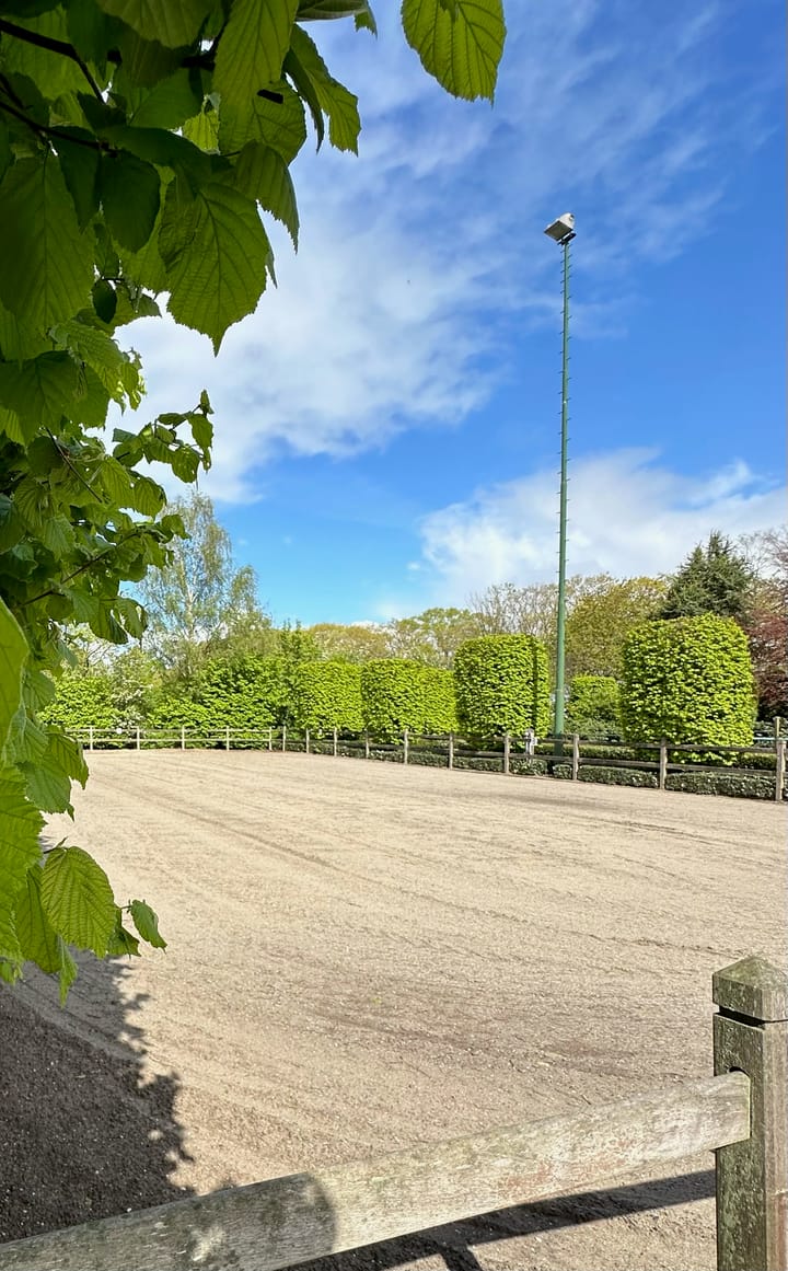 Foto 60 van Langstraat 5