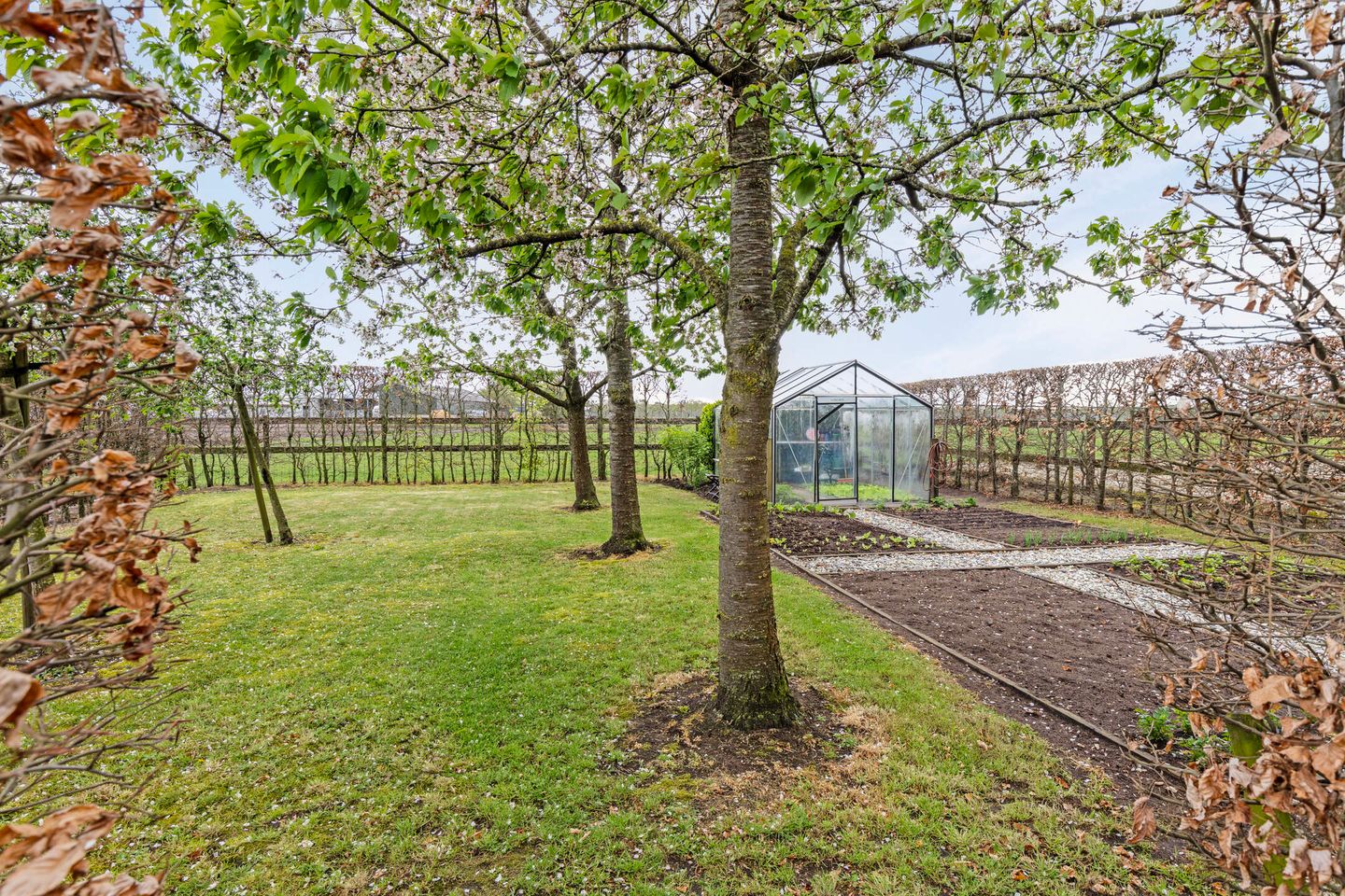 Foto 64 van Langstraat 5