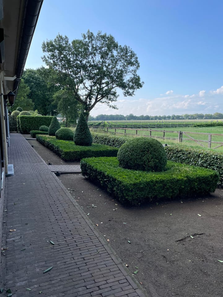 Foto 75 van Langstraat 5