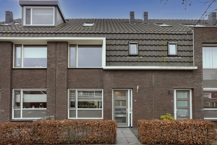 Riet 24