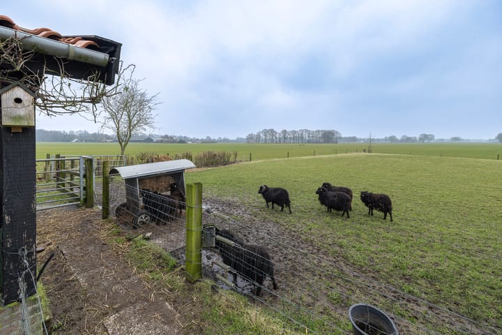 Foto 49 van Kamersteeg 10-A