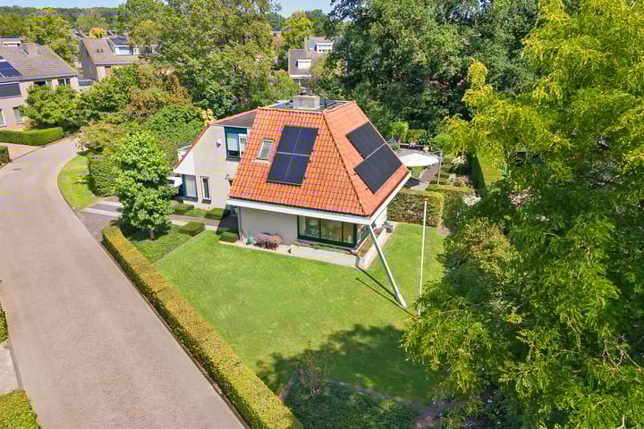 Foto 4 van Gentiaan 16