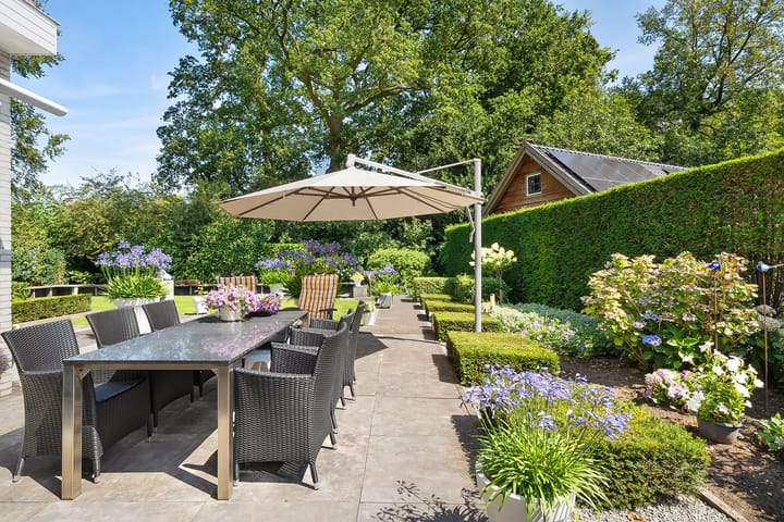 Foto 8 van Gentiaan 16