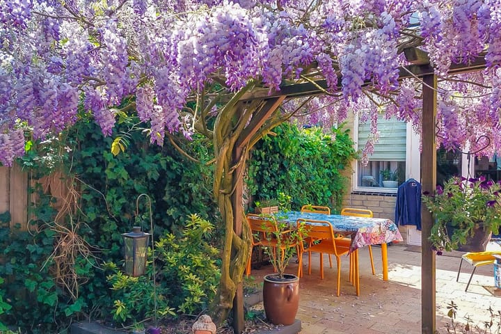 Foto 35 van Westfalen 64