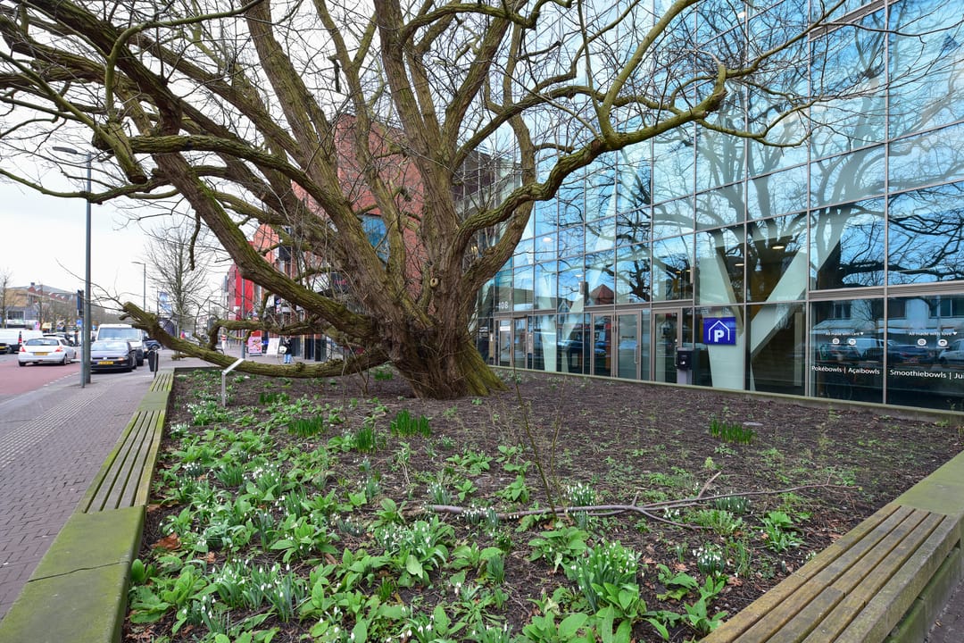 Foto 32 van Gevers van Endegeeststraat 6