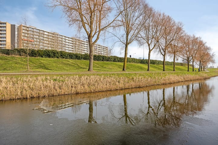 Foto 45 van Donizettistraat 93