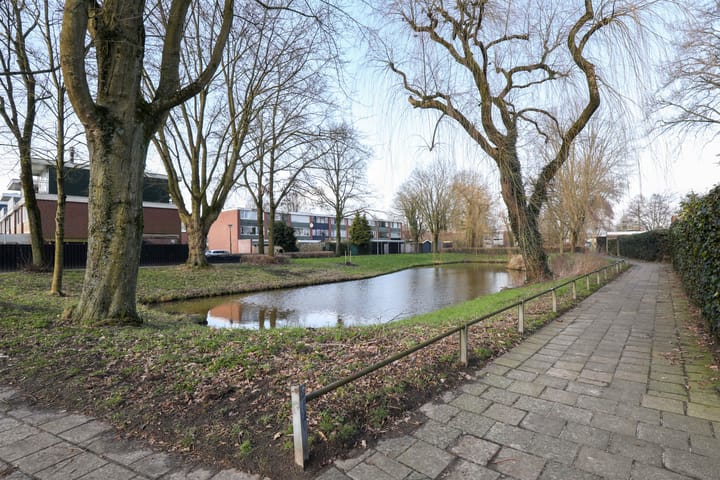 Foto 29 van Kolkrijst 130