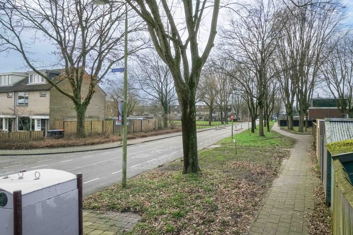 Foto 32 van Kolkrijst 130