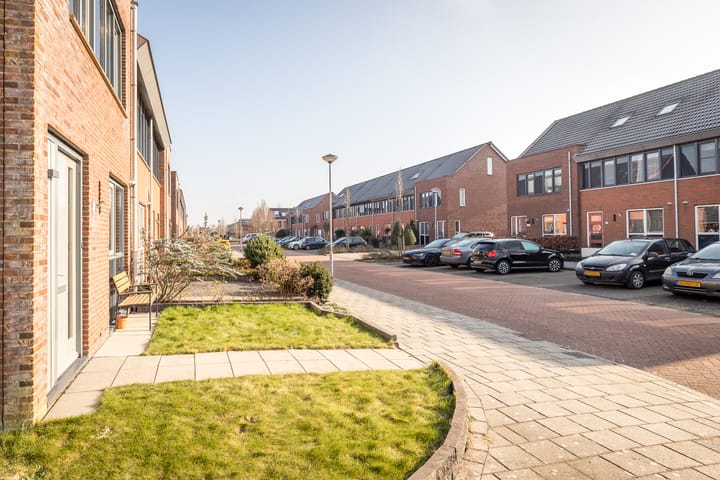 Foto 6 van Scholekster 30