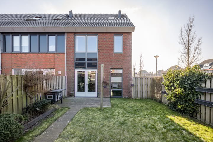 Foto 30 van Scholekster 30