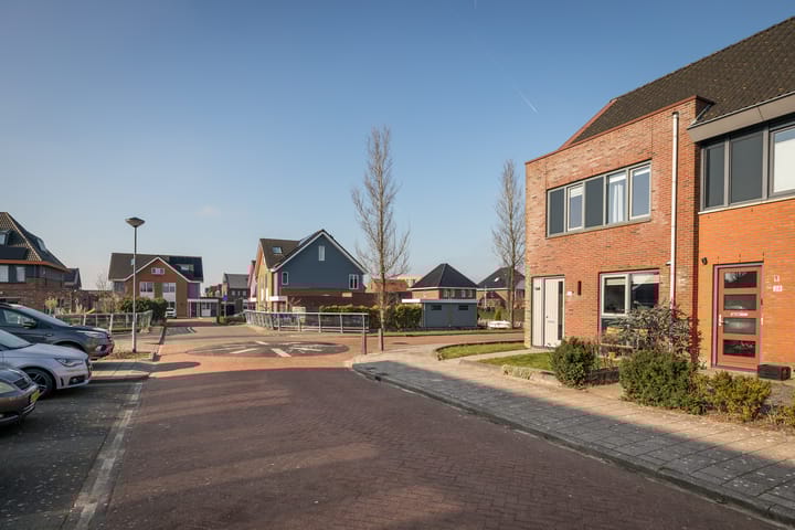 Foto 33 van Scholekster 30