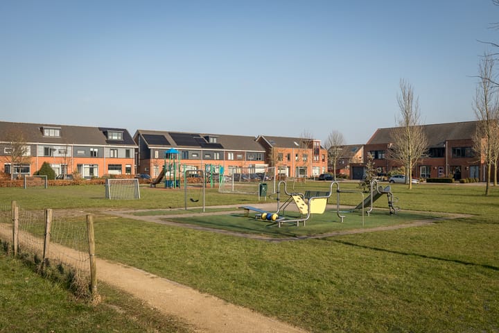 Foto 38 van Scholekster 30